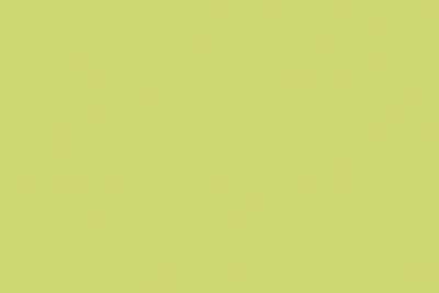 Formica Kollektion ColorCore mit durchgefärbtem Kern CC4177 MAT Lime