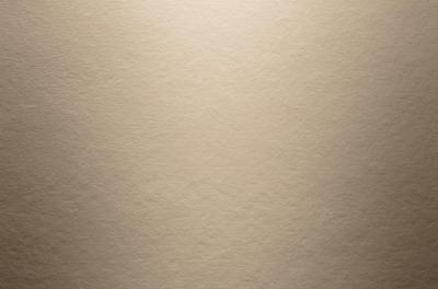 HardiePanel Faserzementplatten next Generation, Nutzformat 3030x1200mm Khakibraun (pal.weise) (25/Pal.)