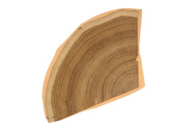 Furnier Express Holzscheiben Eiche Europäisch mit Vlies Viertelscheibe R= ca. 300mm+