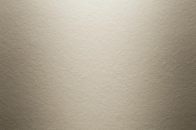 HardiePanel Faserzementplatten next Generation, Nutzformat 3030x1200mm Cashmere (pal.weise) (25/Pal.)