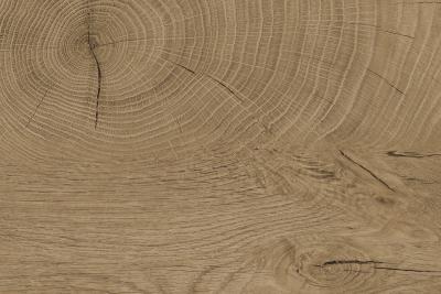 Kaindl Woodline Natural Schichtstoffe K5414 AW Eiche ENDgrain Classi